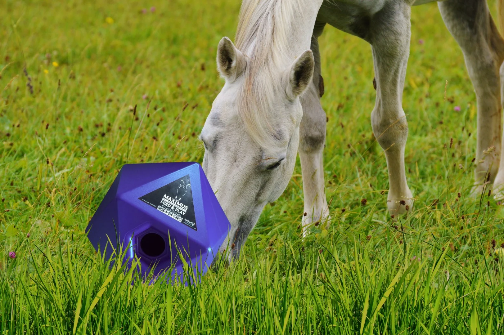 Cub interactiv de hrănire pentru cai, cu deschizătură pentru recompense de 37 mm, albastru – Maximus Feed & Play Cube - imagine 3