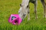 Cub de hrănire roz pentru cai, orificiu pentru recompense de 37 mm – Maximus Feed & Play Cube - imagine 3