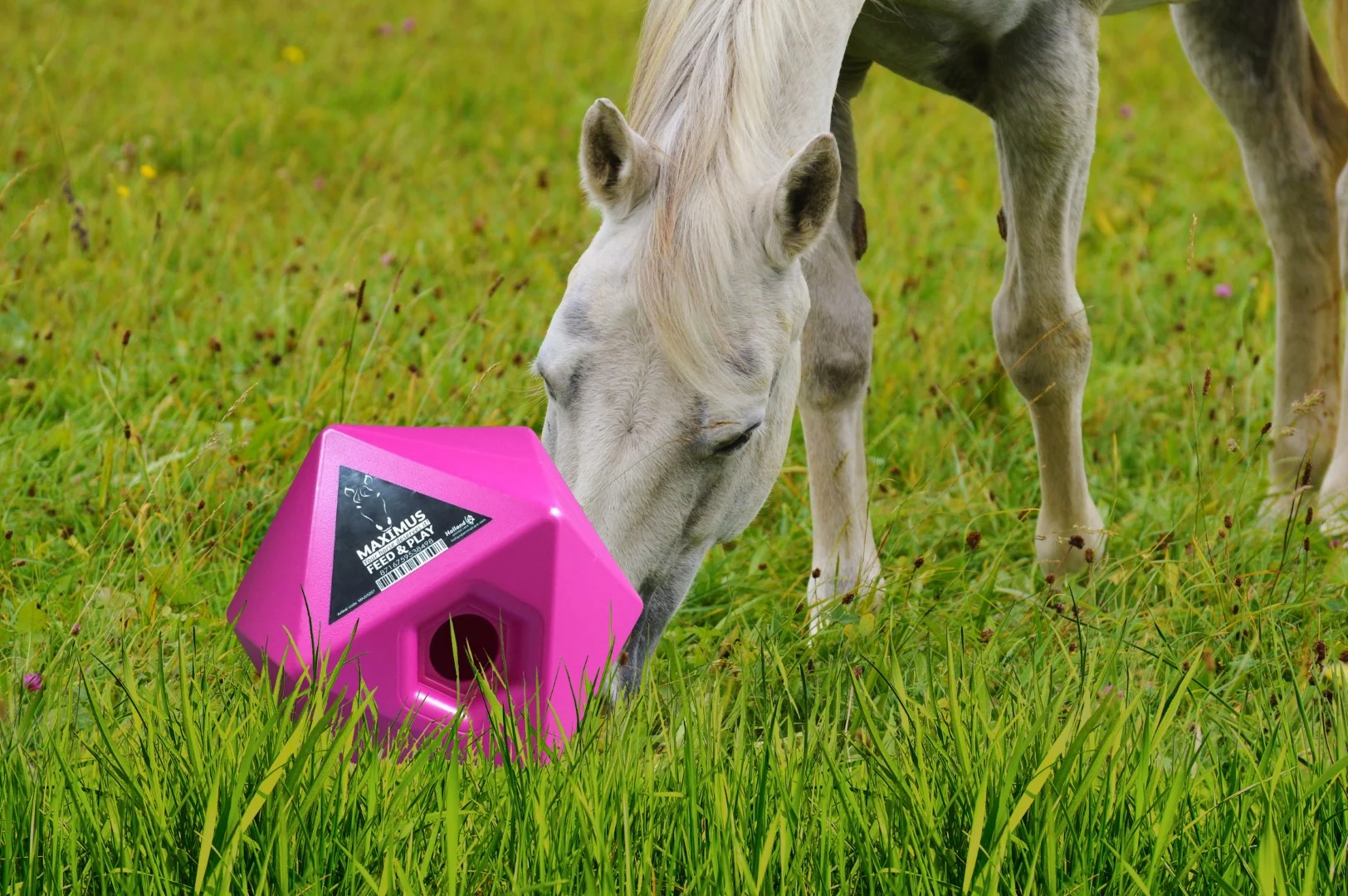 Cub de hrănire roz pentru cai, orificiu pentru recompense de 37 mm – Maximus Feed & Play Cube - imagine 3