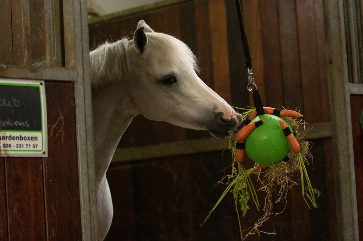 Minge de joacă pentru cai cu benzi elastice, 19 cm, roz – Excellent Horse Fun Play Ball - imagine 4