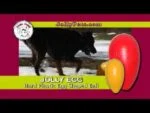 Ou de joacă pentru câini, din plastic, mov, 20 cm – Jolly Pets Egg - imagine 6