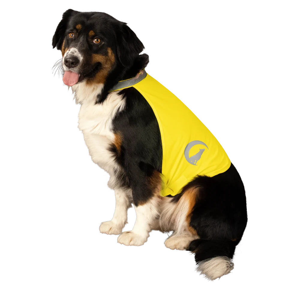 Vestă de siguranță pentru câini cu detalii reflectorizante și închidere cu arici, galbenă M – Nightwalk Safety Vest - imagine 3