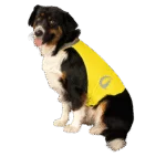 Vestă de siguranță pentru câini cu detalii reflectorizante și închidere cu arici, galbenă L – Nightwalk Safety Vest - imagine 3