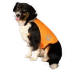 Vestă de siguranță pentru câini, cu detalii reflectorizante și închidere cu arici, portocalie, S – Nightwalk Safety Vest - imagine 3