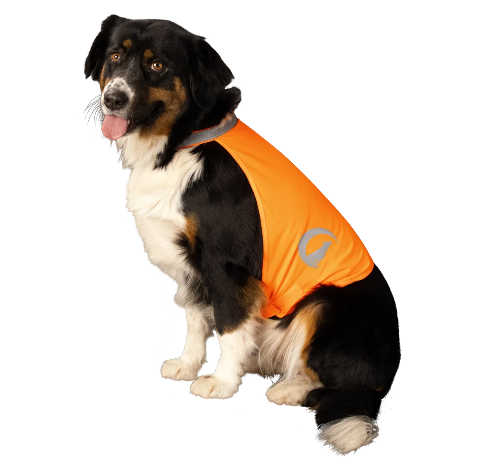 Vestă de siguranță pentru câini, cu detalii reflectorizante și închidere cu arici, portocalie, S – Nightwalk Safety Vest - imagine 3