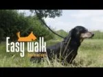 Ham cu lesă din frânghie pentru câini, negru, Regular 345 cm – Easy Walk, model cu lesă purtată pe umăr - imagine 4