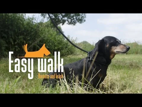 Ham cu lesă din frânghie pentru câini, Roșu, Mini 210 cm – Easy Walk, model pentru ținut în mână - imagine 3