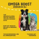 Ulei Omega pentru câini cu uleiuri vegetale, 250 ml – Excellent Pets Omega Boost - imagine 6