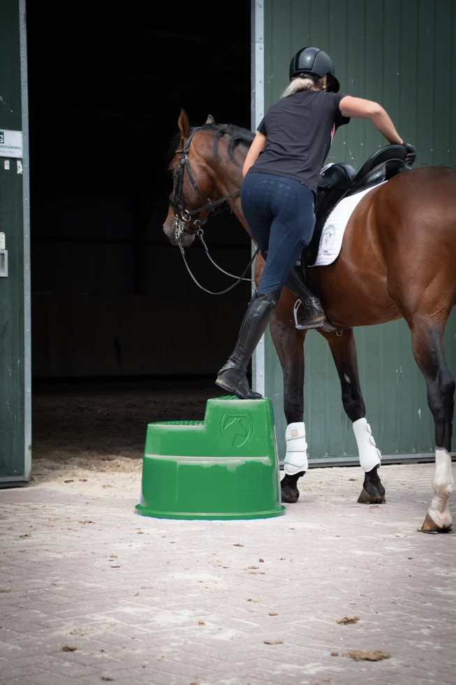 Scară de încălecat cu 3 trepte antiderapante, verde, 53 cm – Excellent Horse - imagine 3