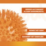 Minge pentru câini cu țepi moi M – Holland Oranje minge arici - imagine 3