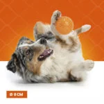Minge pentru câini cu țepi moi M – Holland Oranje minge arici - imagine 4