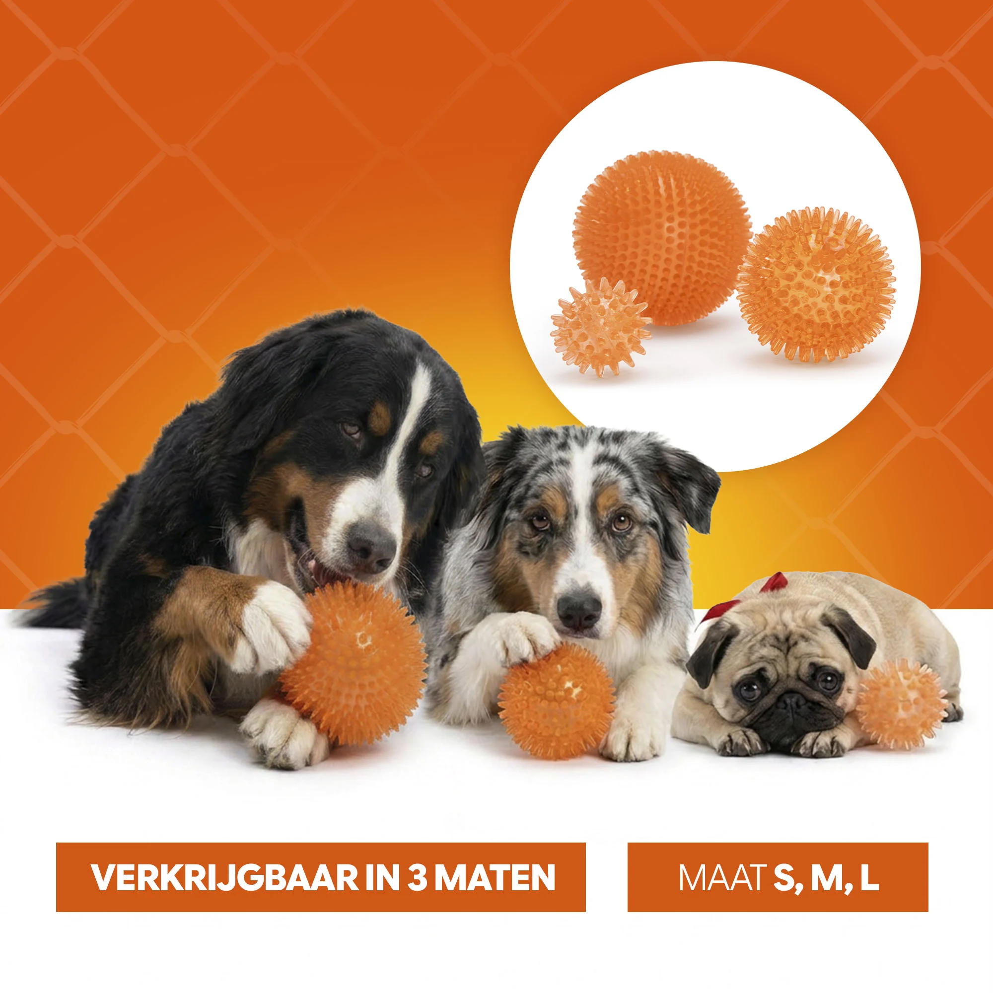 Minge pentru câini cu țepi moi M – Holland Oranje minge arici - imagine 6