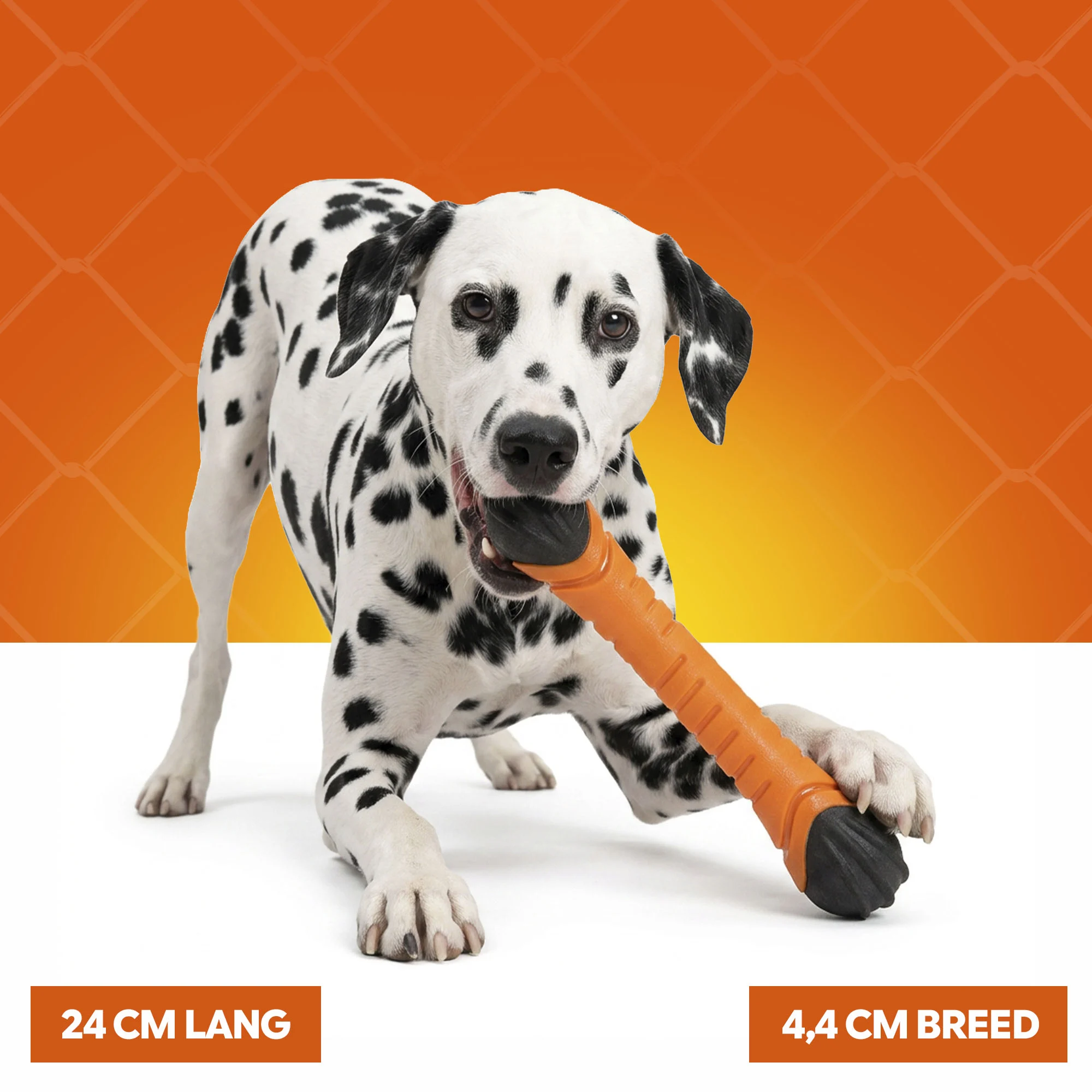 Băț plutitor pentru aport cu piuitoare S 24 cm – Holland Oranje Apporteerstick - imagine 4