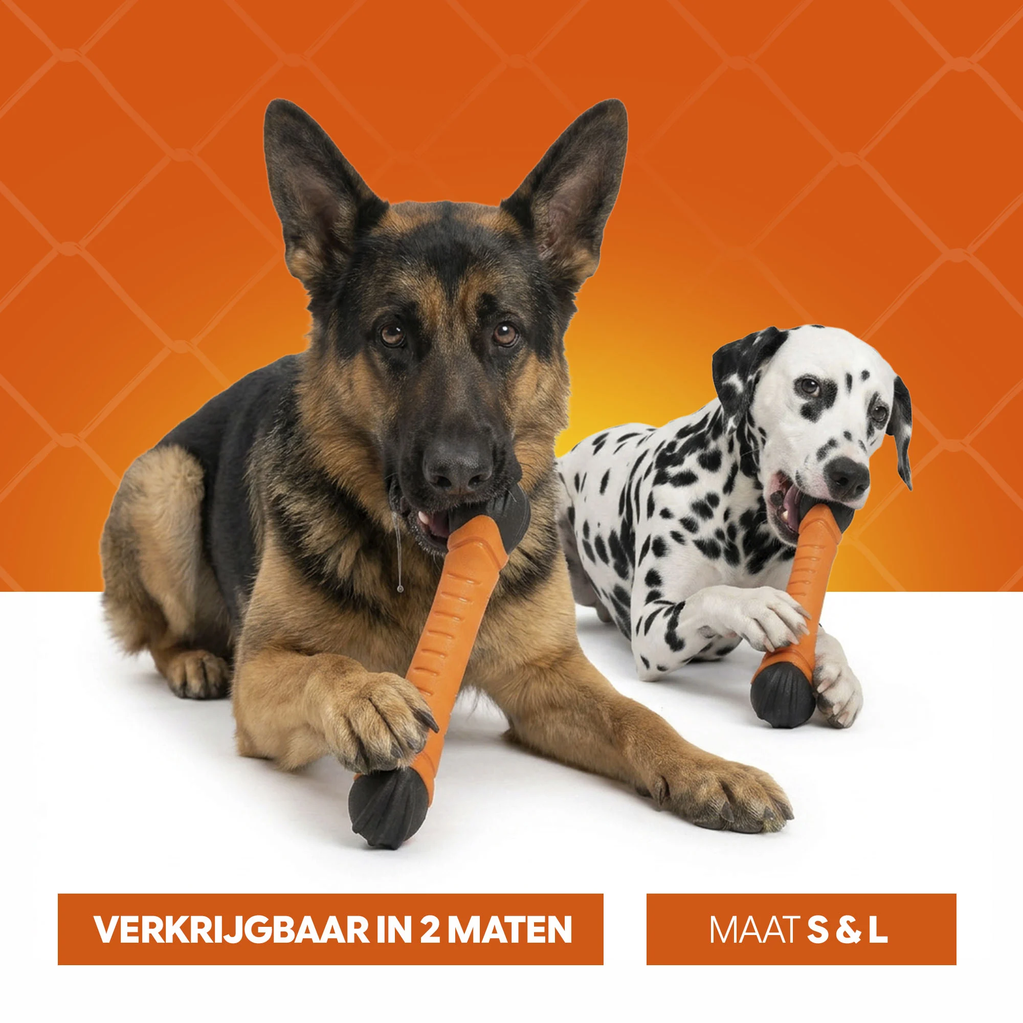 Băț plutitor pentru aport cu piuitoare S 24 cm – Holland Oranje Apporteerstick - imagine 6