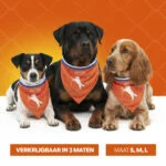 Bandană portocalie pentru câini, mărimea M, de Ziua Regelui – Bandană portocalie Holland - imagine 6