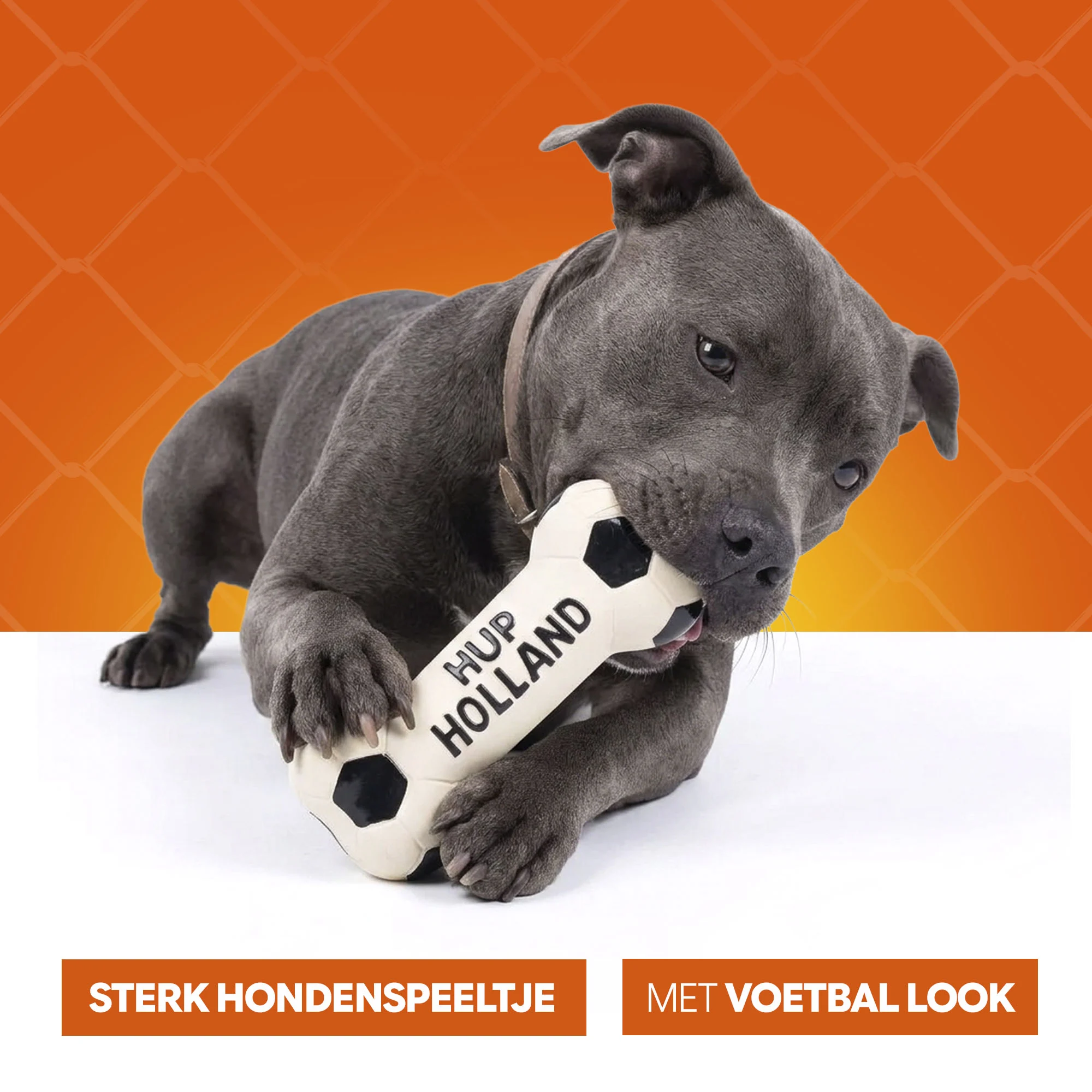 Jucărie pentru câini în formă de os, din latex, portocalie – Holland WK Bot - imagine 6