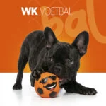 Jucărie din latex pentru câini, cu chițăitoare, portocalie, M – Holland Mr. Dutch - imagine 2