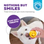 Minge pentru hrană din TPE, galbenă, 6 x 6 cm – Outward Hound (Kyjen) Orbee-Tuff Nooks - imagine 4