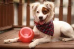 Jucărie pentru recompense pentru câini din TPE – Outward Hound Orbee-Tuff Snoop (Lil' Snoop) - imagine 2