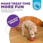 Jucărie pentru recompense pentru câini din TPE – Outward Hound Orbee-Tuff Snoop (Lil' Snoop) - imagine 4