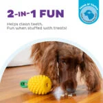 Jucărie de ros cu frânghie și aromă de fructe – Outward Hound (Kyjen) Dental Pineapple - imagine 4