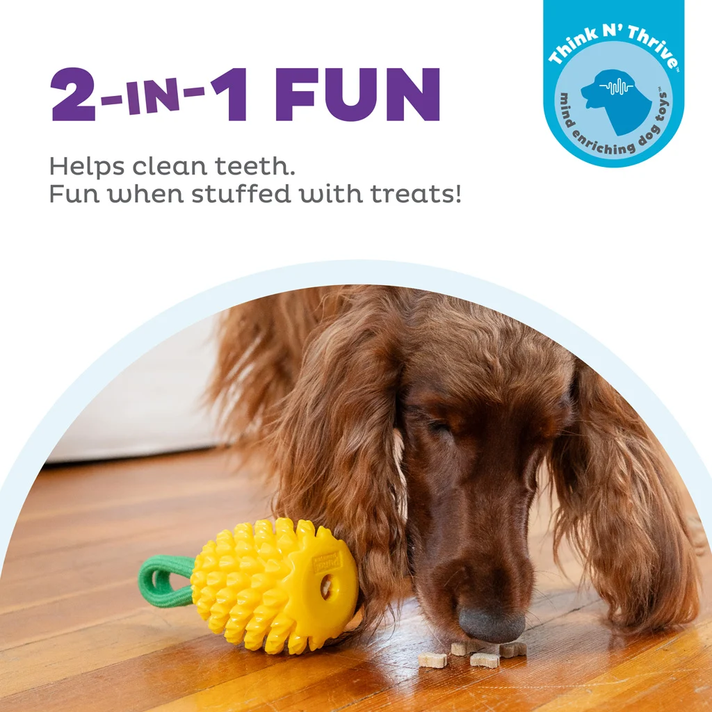 Jucărie de ros cu frânghie și aromă de fructe – Outward Hound (Kyjen) Dental Pineapple - imagine 4