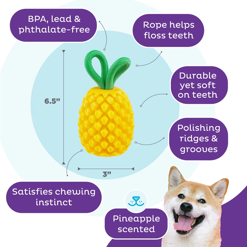 Jucărie de ros cu frânghie și aromă de fructe – Outward Hound (Kyjen) Dental Pineapple - imagine 5