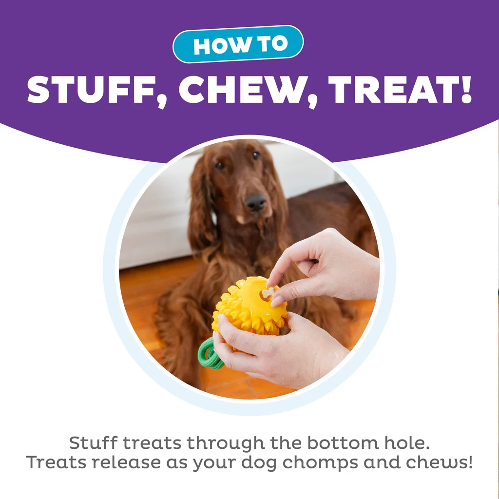 Jucărie de ros cu frânghie și aromă de fructe – Outward Hound (Kyjen) Dental Pineapple - imagine 6