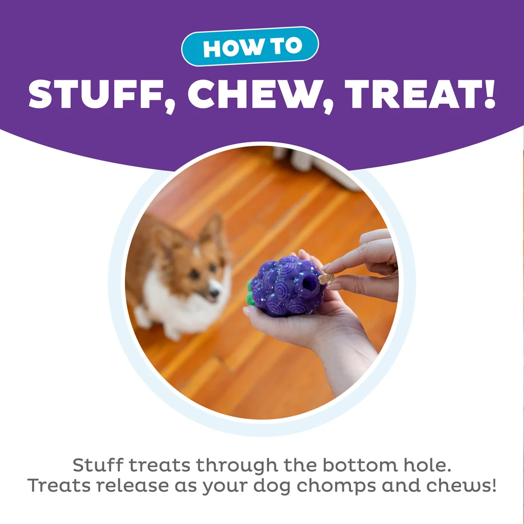 Jucărie de ros cu frânghie și aromă de fructe – Outward Hound (Kyjen) Dental Grapes - imagine 6