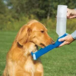 Sticlă de apă cu recipient 500 ml – Pawise Travel Bottle - imagine 4