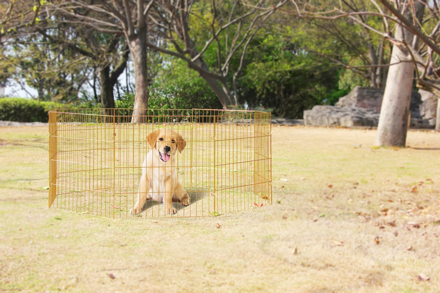 Țarc pliabil pentru câini, 8 panouri de 60 x 60 cm – Pawise Dog Play Pen S - imagine 2