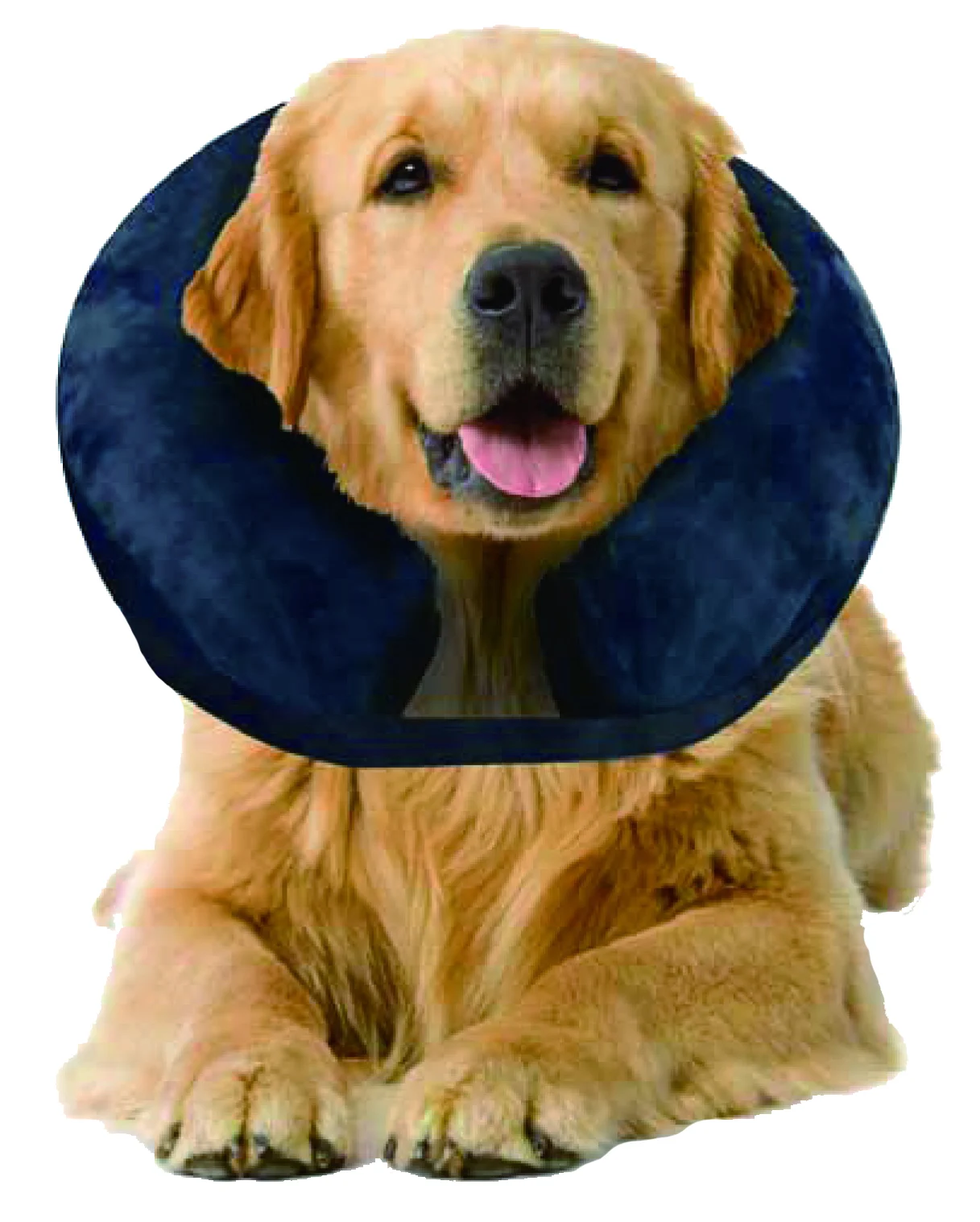 Guler de protecție gonflabil L, 33 până la 45 cm – Pawise Inflatable Protective Collar - imagine 2