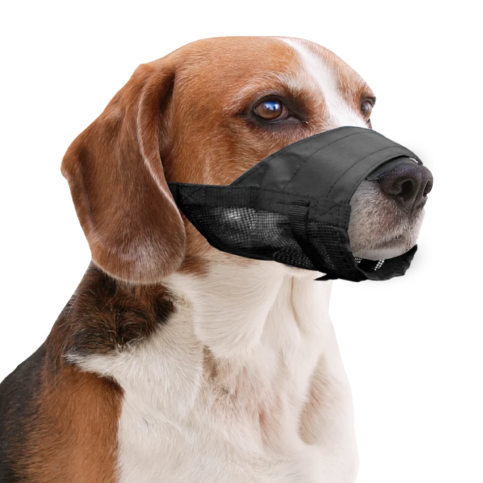 Botniță din nailon pentru câini, reglabilă, mărimea XL – Pawise Adjustable Nylon Muzzle XL - imagine 2