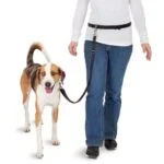 Lesă pentru câini fără mâini, pentru alergare, cu capăt elastic – Pawise Hands Free Doggy Jogger Kit - imagine 3