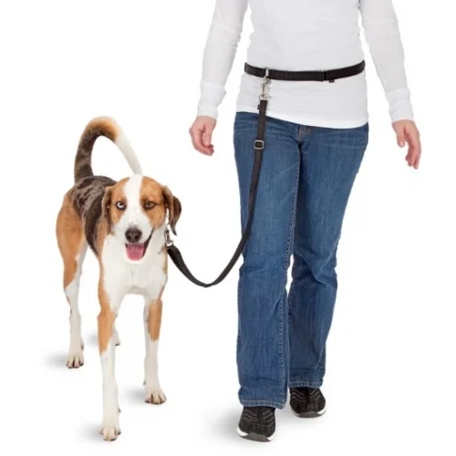 Lesă pentru câini fără mâini, pentru alergare, cu capăt elastic – Pawise Hands Free Doggy Jogger Kit - imagine 3