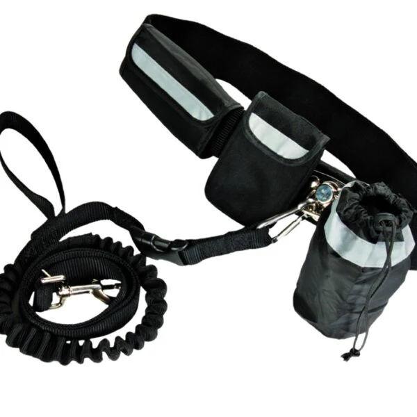 Lesă pentru câini fără mâini, pentru alergare, cu capăt elastic – Pawise Hands Free Doggy Jogger Kit