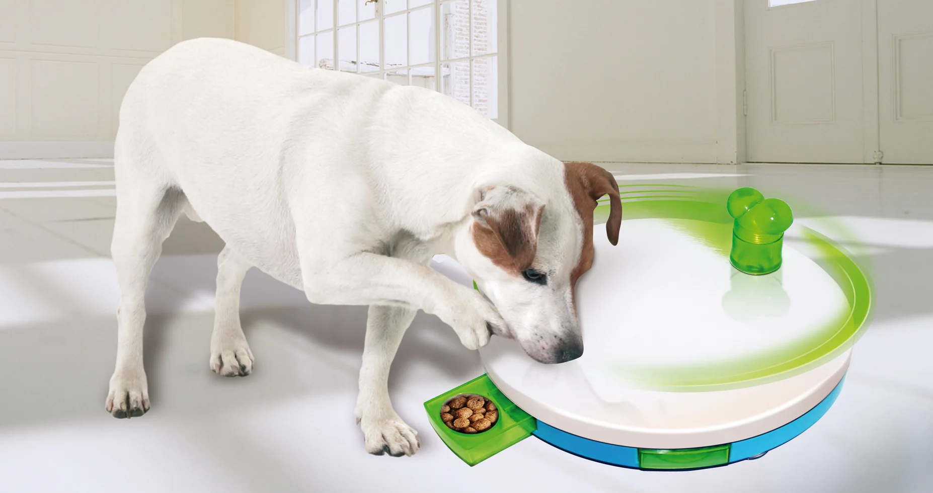 Puzzle pentru câini cu sertare, 27,5 x 4 cm – Pawise Level 2 Spinning Feeder - imagine 2