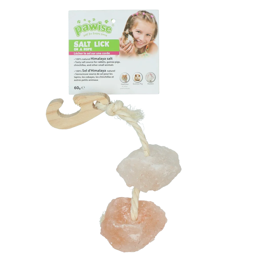 Piatră de lins din sare de Himalaya cu șnur – Pawise Himalayan Salt On A Rope - imagine 2