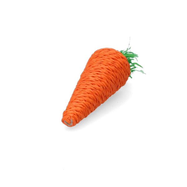 Jucărie de ros pentru iepuri și rozătoare, colorată – Pawise Play & Chew Carrot