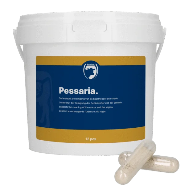 Capsule pessare cu plante medicinale, 12 bucăți – Excellent Pessaria Capsule