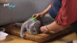 Perie din silicon pentru pisici cu păr lung, verde – Pet + Me Cat Hair Brush - imagine 5