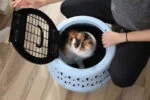 Cușcă rotundă de transport pentru pisici, cu deschidere în partea de sus, albastră – Petmate Get-A-Round Kennel - imagine 6