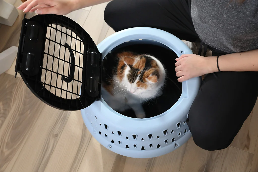 Cușcă rotundă de transport pentru pisici, cu deschidere în partea de sus, albastră – Petmate Get-A-Round Kennel - imagine 6