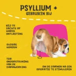 Fibre de psyllium pudră pentru câini, 100 g – Excellent Pets Dog Psyllium+ - imagine 6