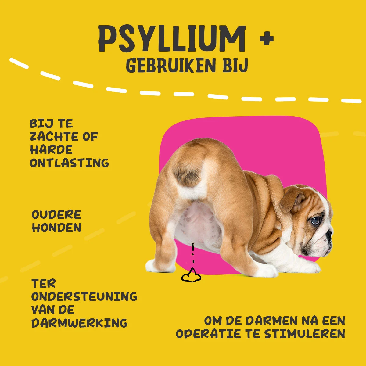 Fibre de psyllium pudră pentru câini, 100 g – Excellent Pets Dog Psyllium+ - imagine 6