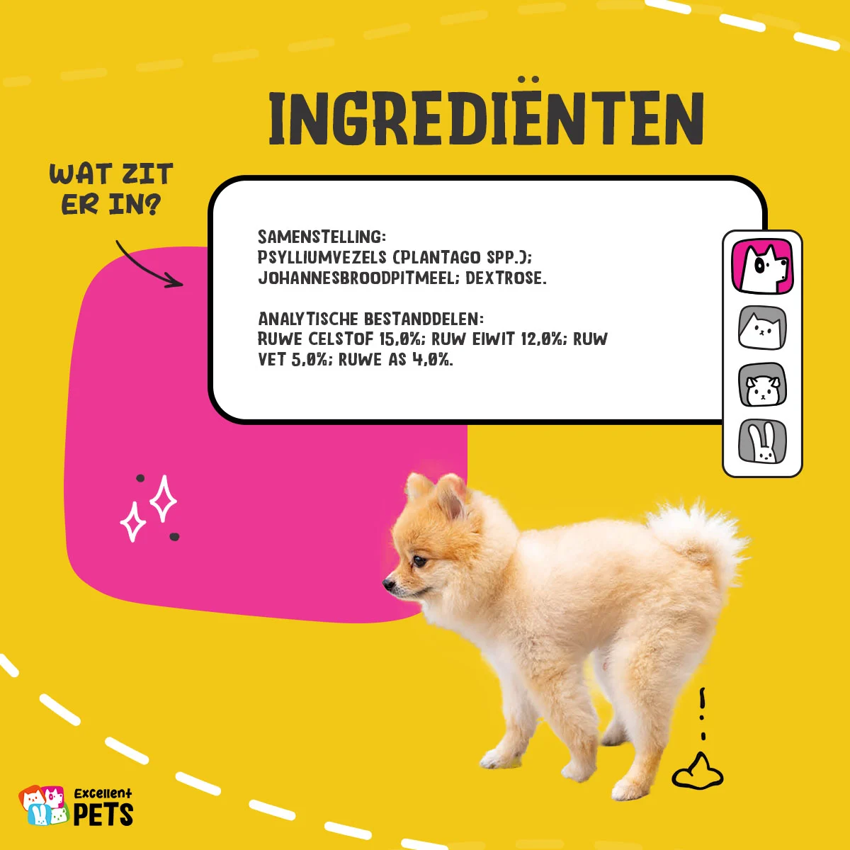 Fibre de psyllium pudră pentru câini, 100 g – Excellent Pets Dog Psyllium+ - imagine 4