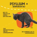 Pulbere de psyllium pentru pisici cu făină de roșcove, 100 g – Excellent Pets Cat Psyllium+ - imagine 6