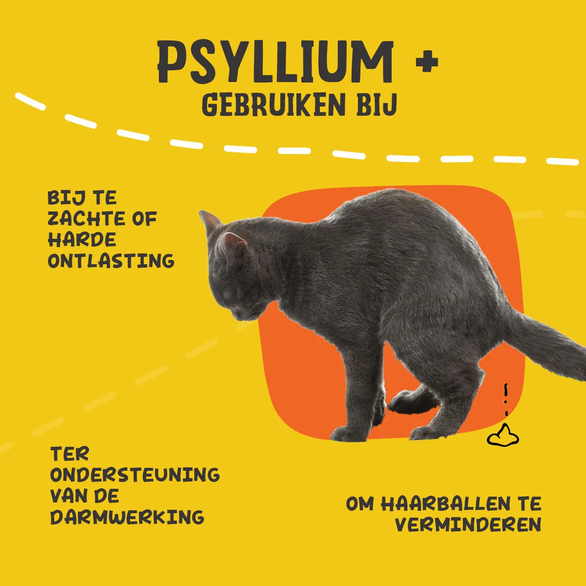 Pulbere de psyllium pentru pisici cu făină de roșcove, 100 g – Excellent Pets Cat Psyllium+ - imagine 6