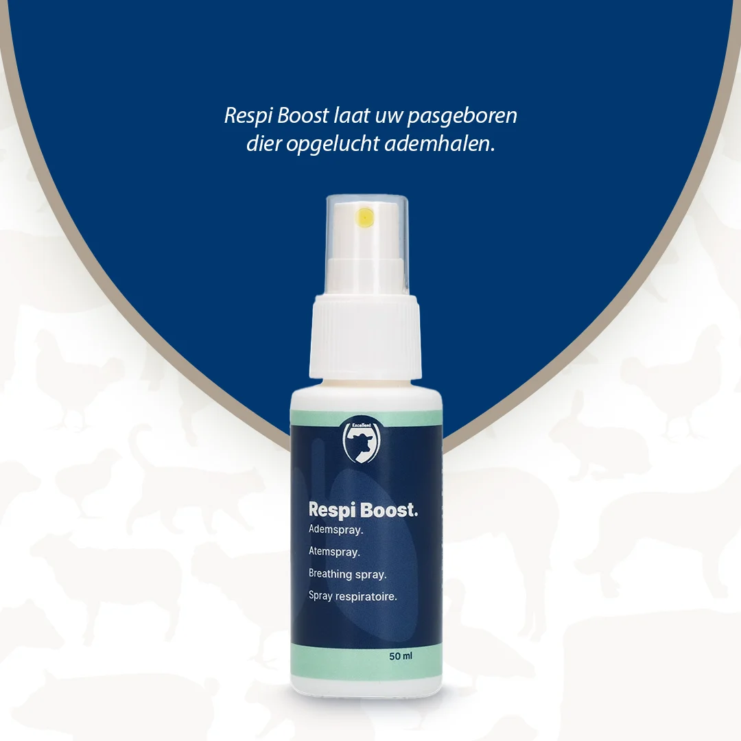 Spray pentru respirația animalelor nou născute, 50 ml – Excellent Respi Boost - imagine 2