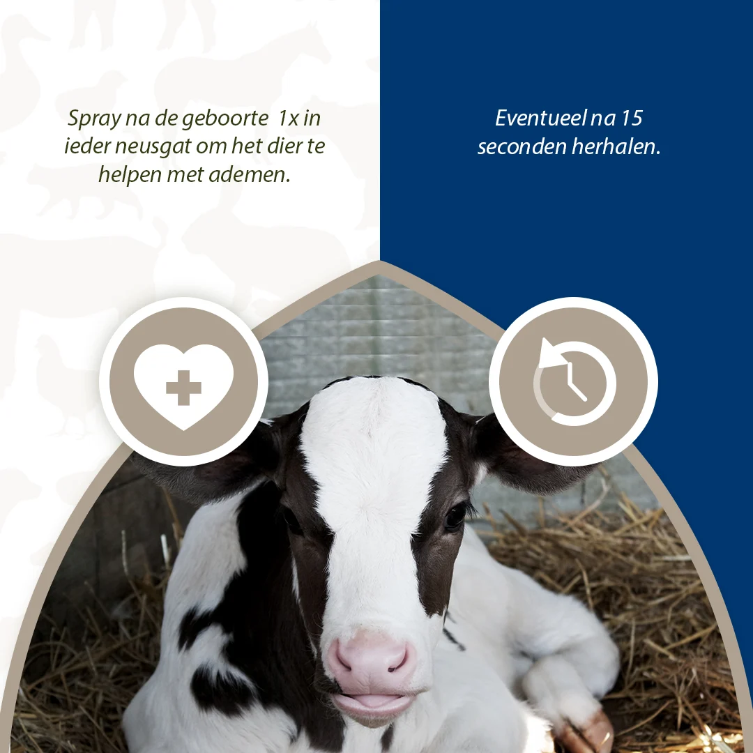 Spray pentru respirația animalelor nou născute, 50 ml – Excellent Respi Boost - imagine 3